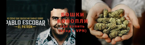 эйфоретик Гусиноозёрск